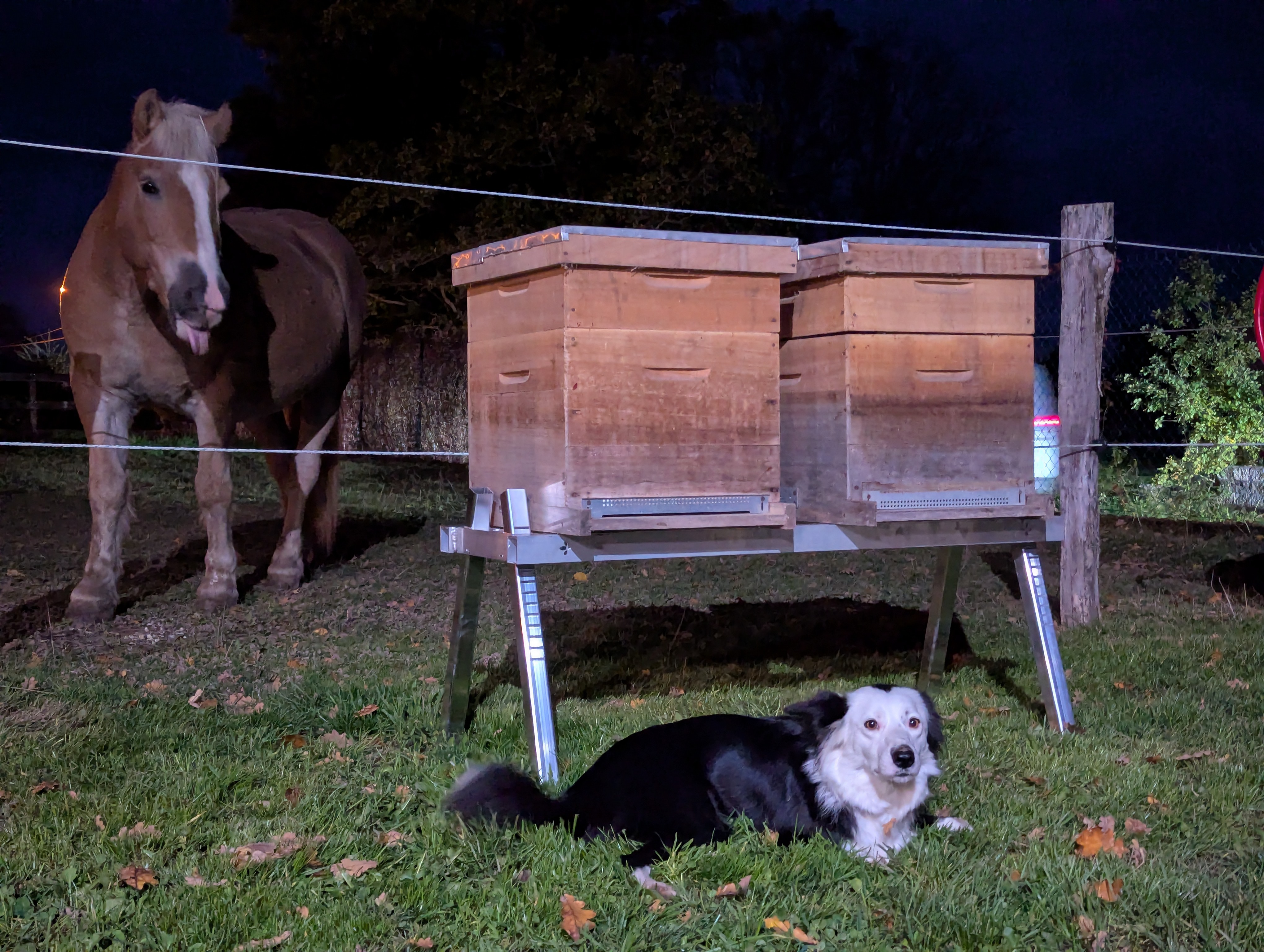 Support de ruche en aluminium